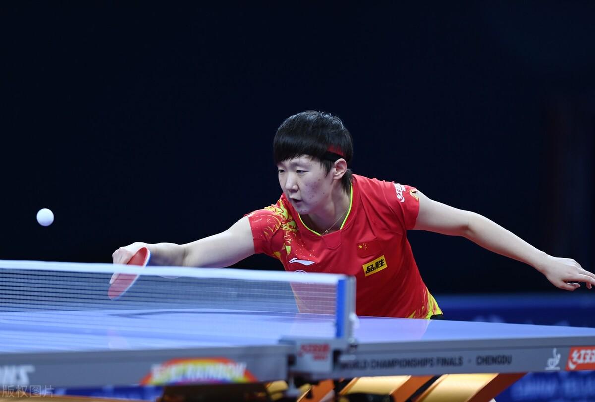 他们不仅为 他们不仅为