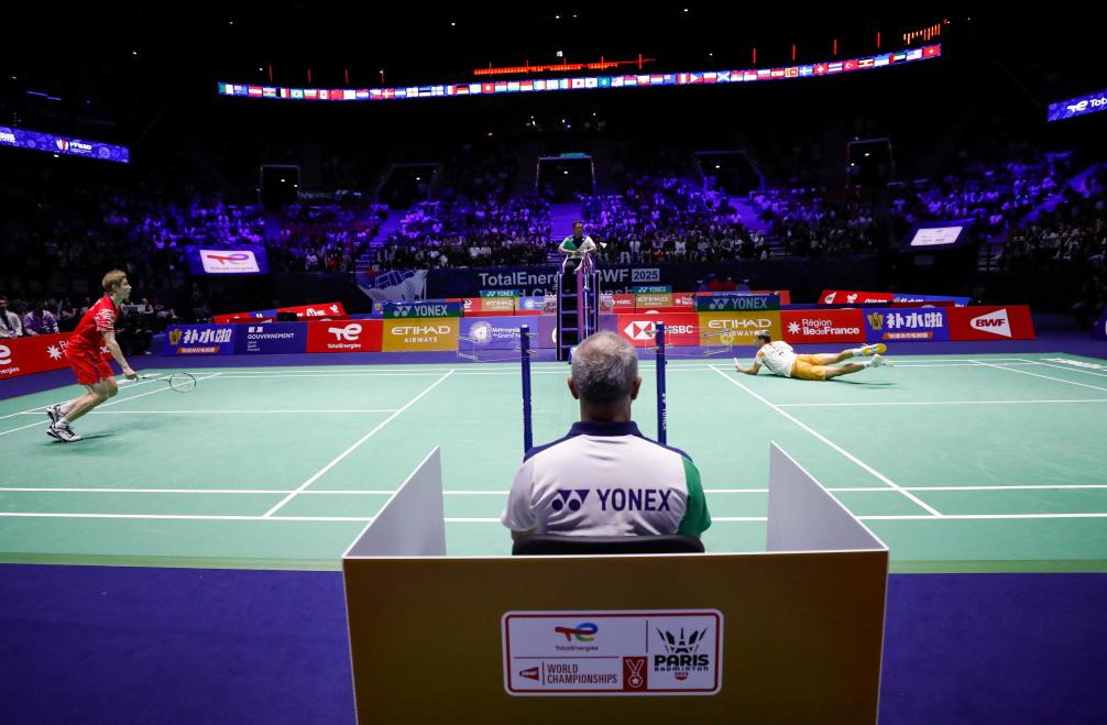 博洛尼亚在 博洛尼亚在